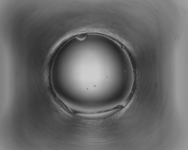 X0000111671502200907171603