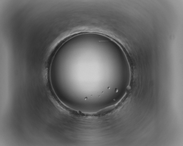 X0000111671503200907171603