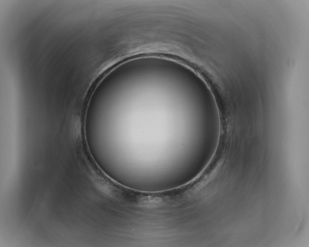 X0000111671505200907171603