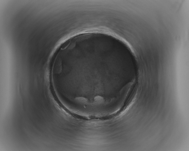 X0000111671506200907171603