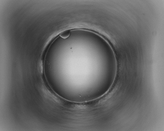 X0000111671509200907171603