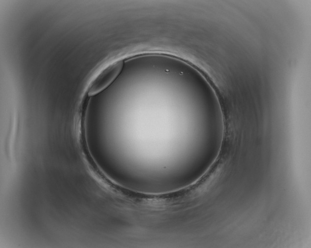X0000111671511200907171603