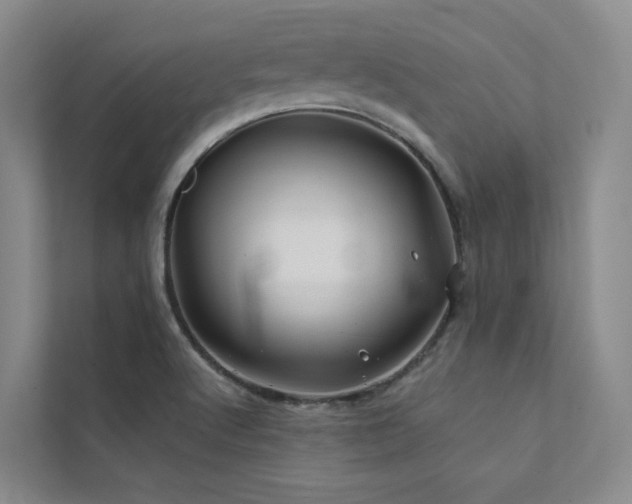 X0000111671512200907171603