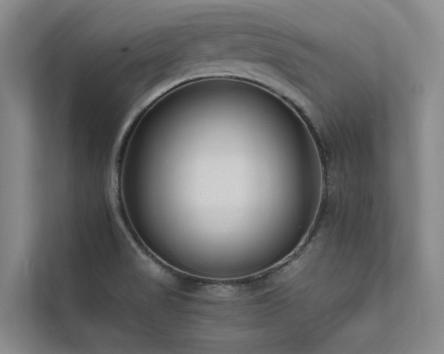 X0000111671517200907171603