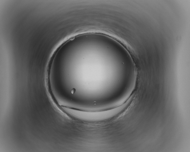X0000111671518200907171603