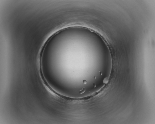 X0000111671519200907171603