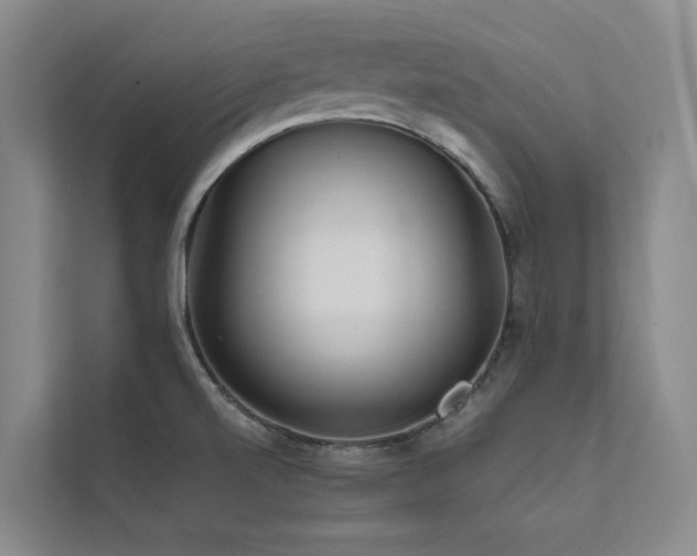 X0000111671520200907171603