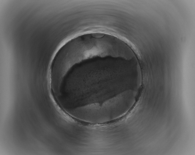 X0000111671522200907171603