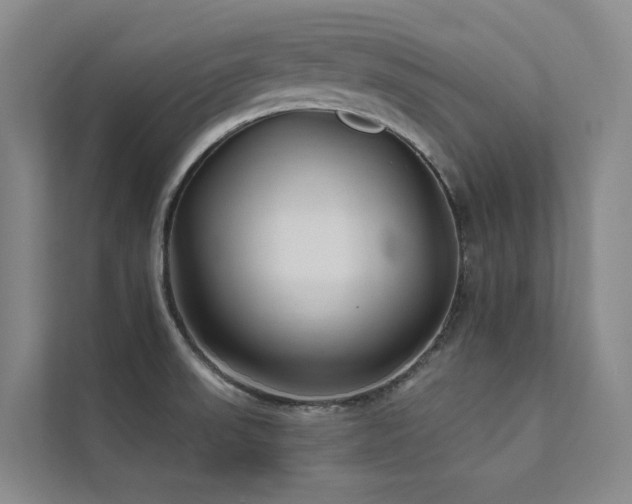 X0000111671523200907171603