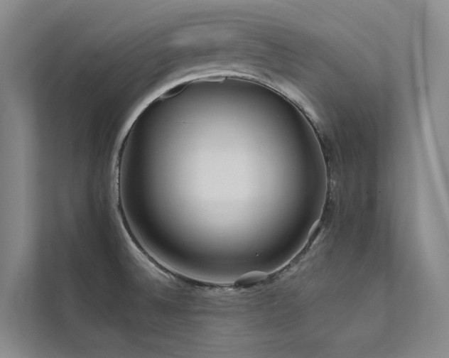 X0000111671524200907171603