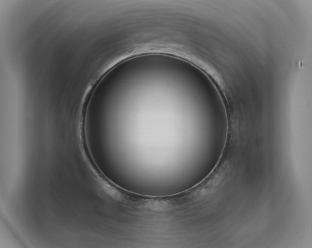 X0000111671525200907171603