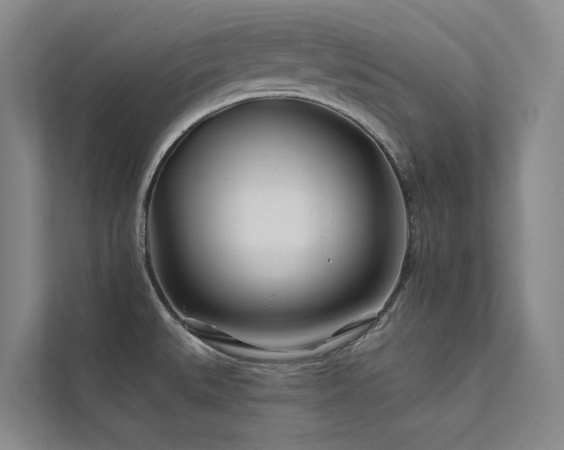 X0000111671527200907171603
