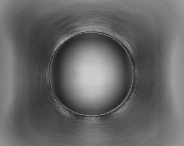 X0000111671529200907171603
