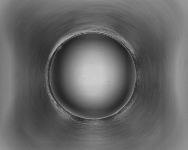 X0000111671530200907171603