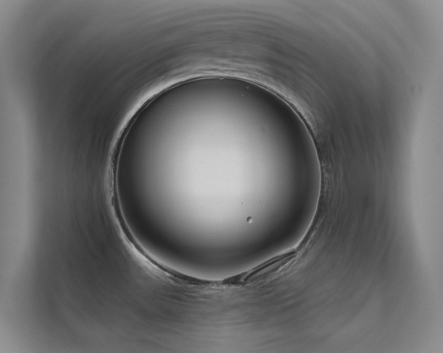 X0000111671531200907171603