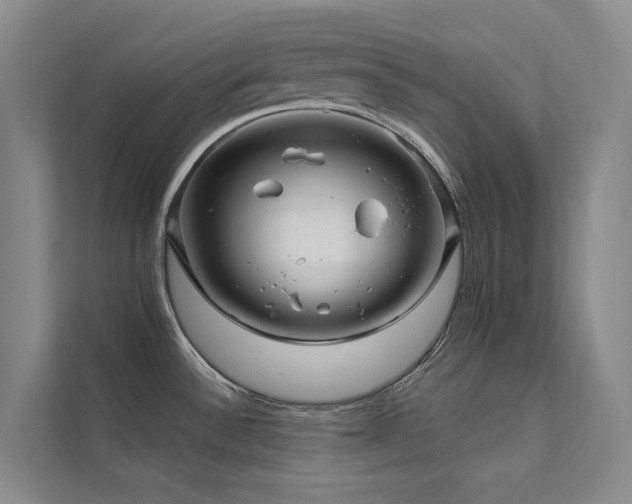 X0000111671532200907171603