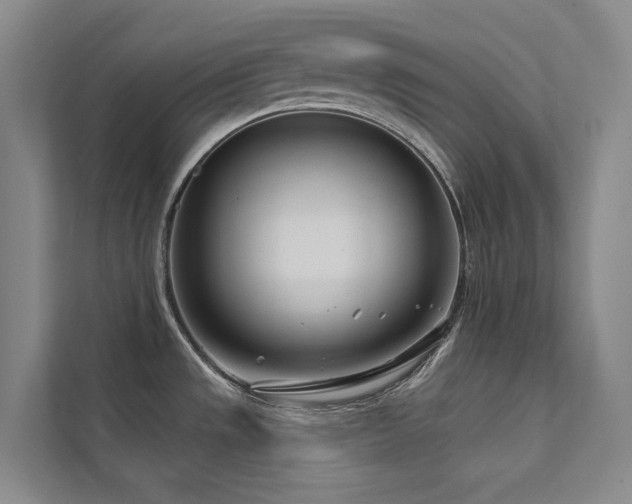 X0000111671533200907171603