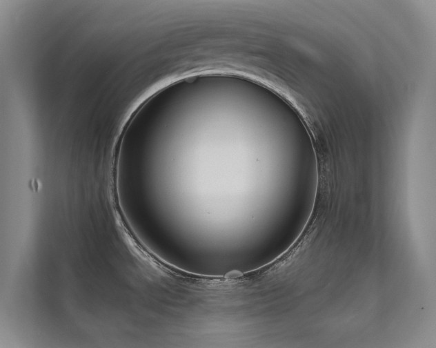 X0000111671534200907171603
