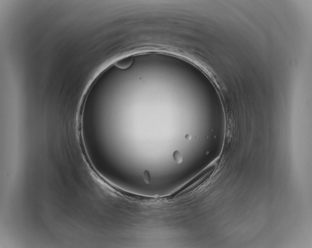 X0000111671535200907171603