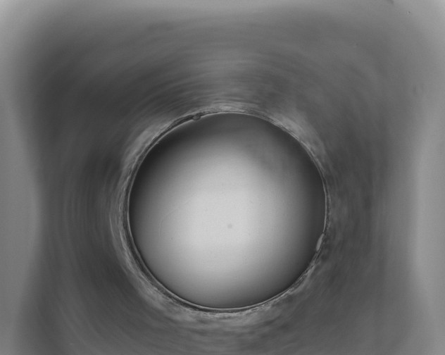 X0000111670001200907241221