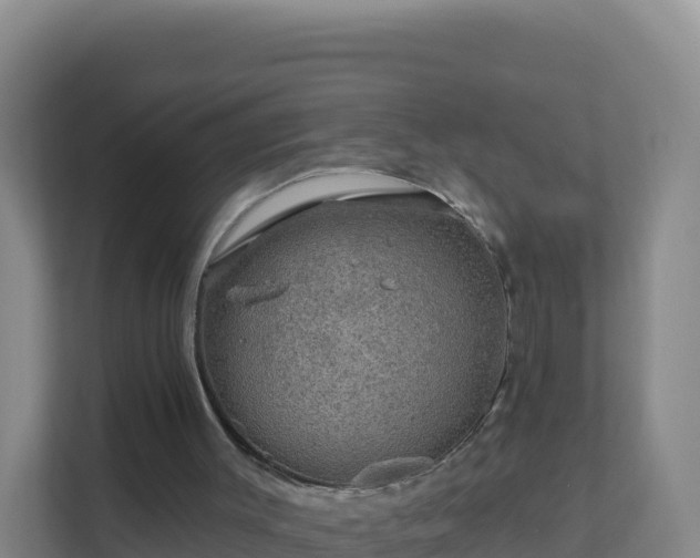 X0000111670003200907241221