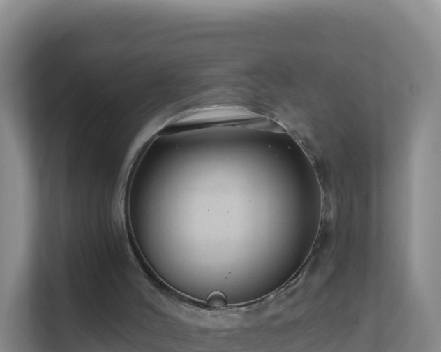 X0000111670004200907241221