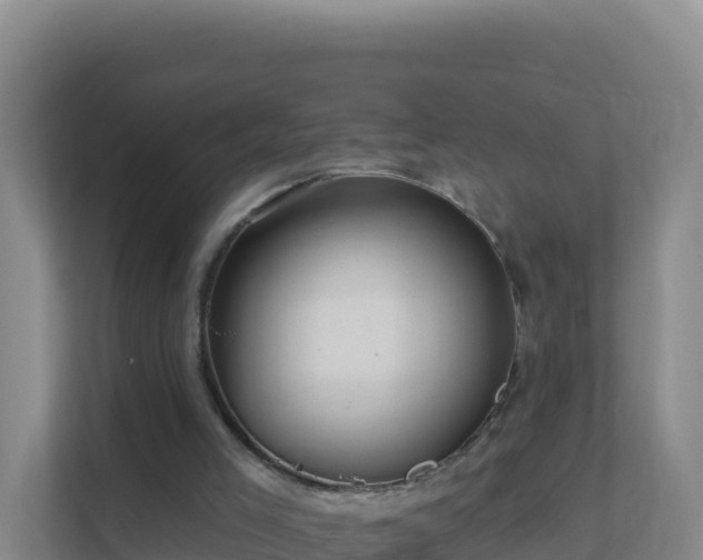 X0000111670005200907241221