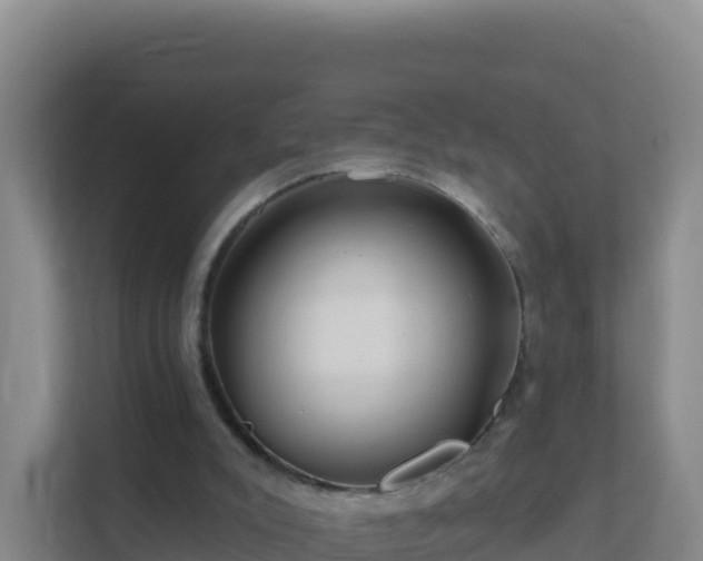 X0000111670007200907241221