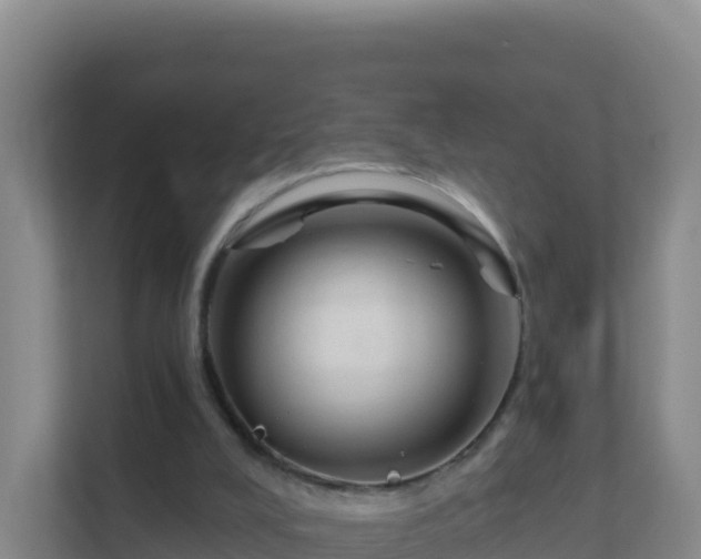 X0000111670008200907241221