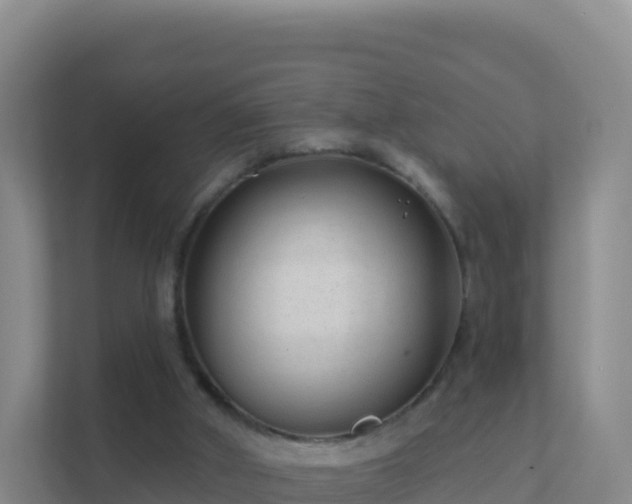 X0000111670010200907241221