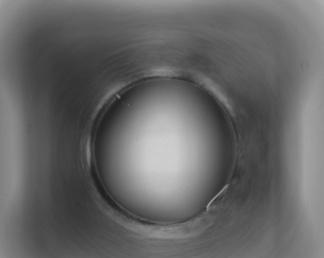 X0000111670011200907241221