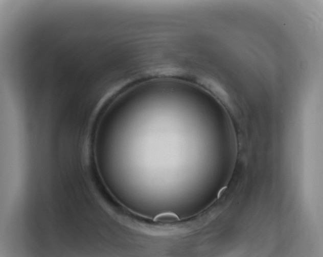 X0000111670012200907241221