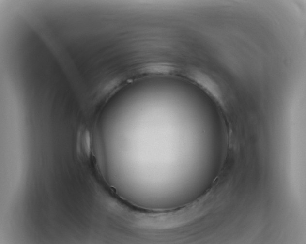 X0000111670013200907241221