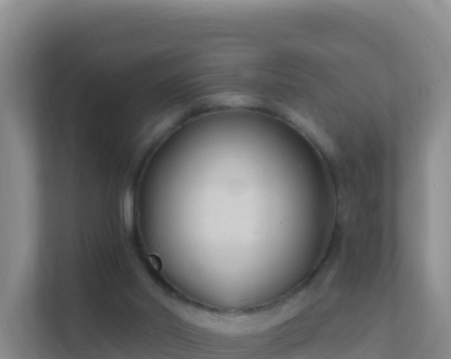 X0000111670014200907241221