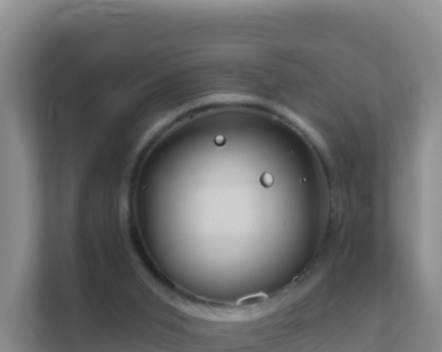 X0000111670015200907241221