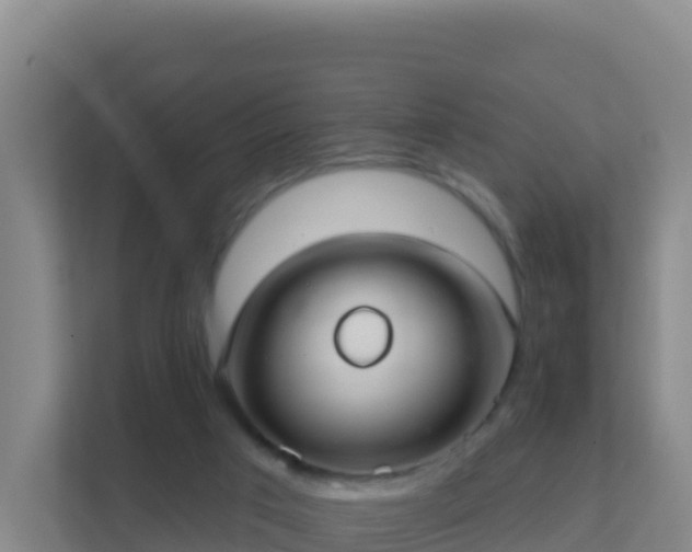 X0000111670017200907241221