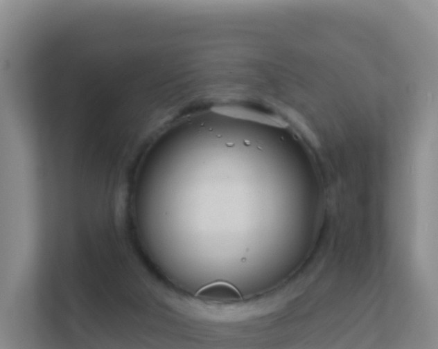 X0000111670018200907241221