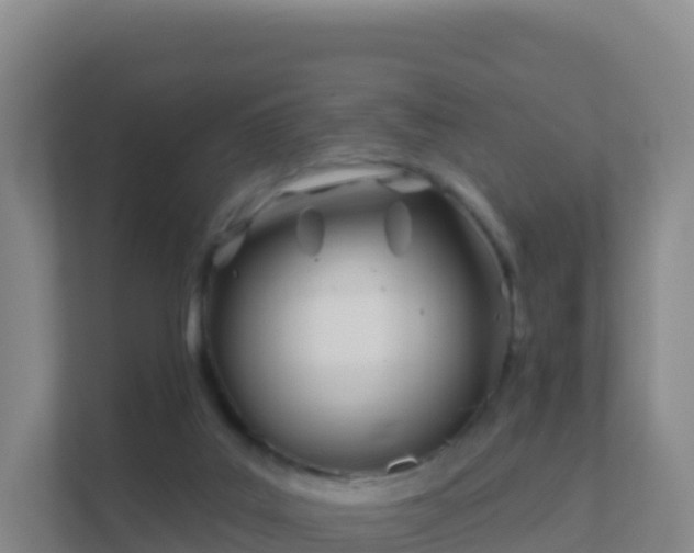 X0000111670019200907241221