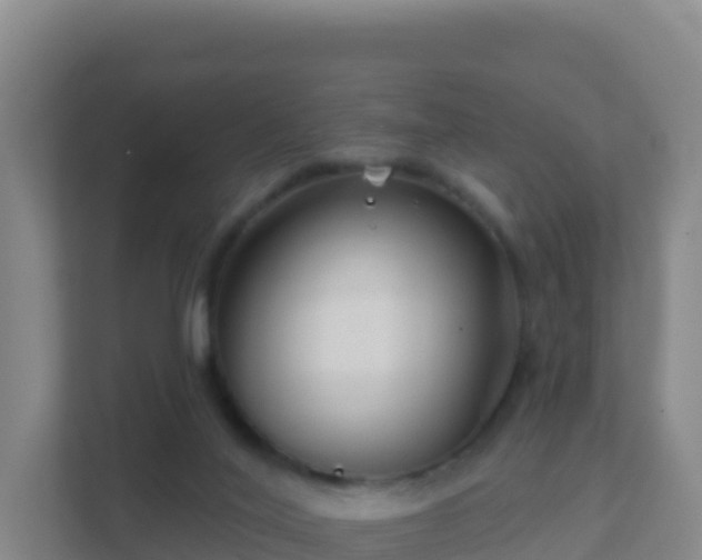 X0000111670020200907241221