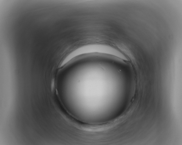 X0000111670021200907241221