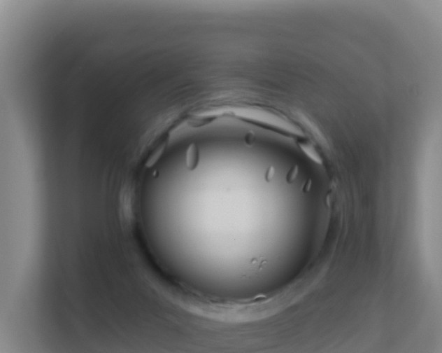 X0000111670023200907241221