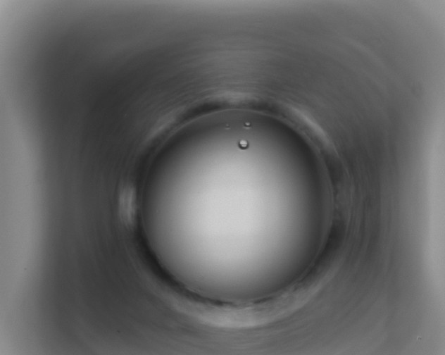 X0000111670024200907241221