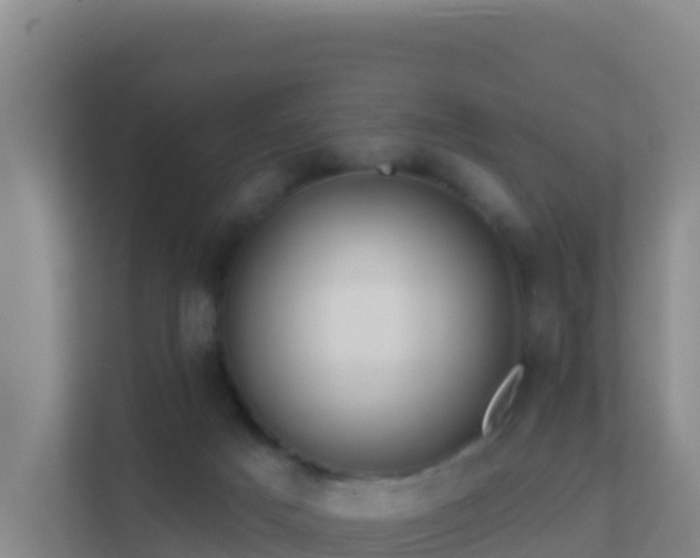 X0000111670025200907241221