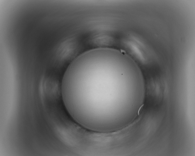 X0000111670029200907241221