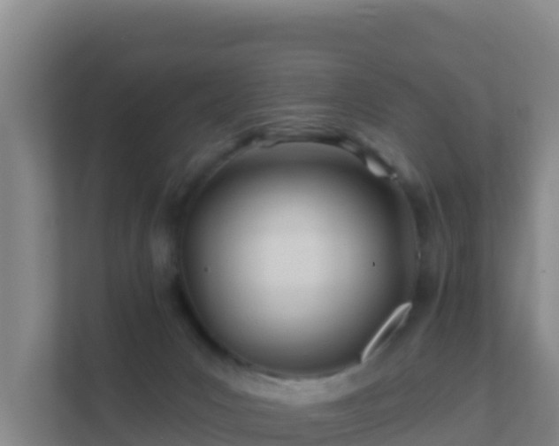 X0000111670031200907241221