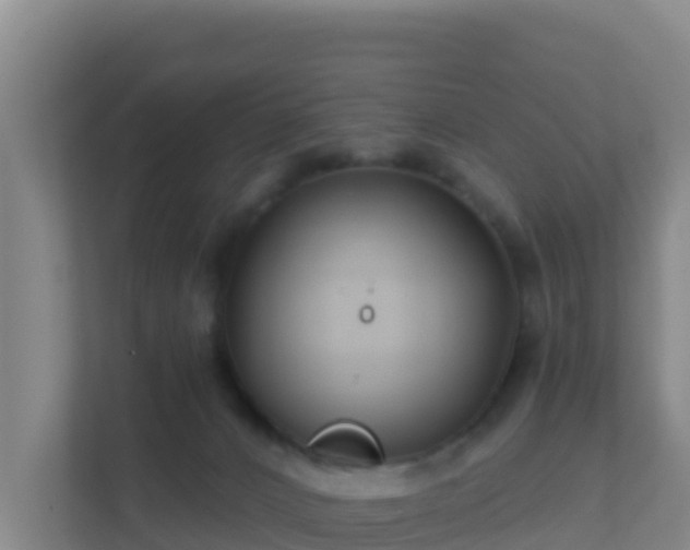 X0000111670032200907241221