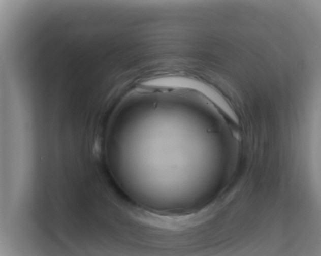 X0000111670035200907241221