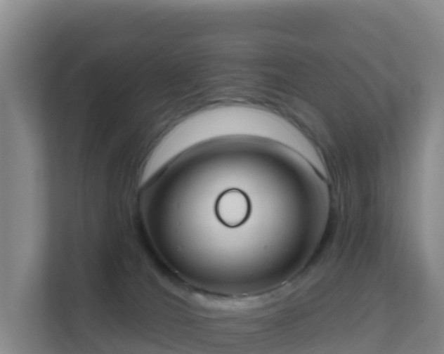 X0000111670036200907241221