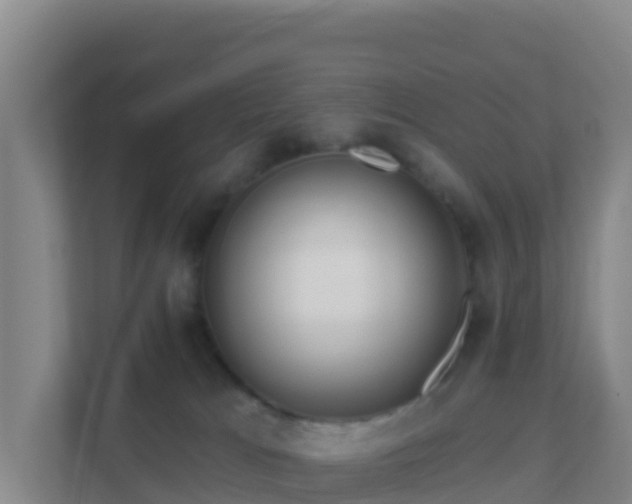 X0000111670037200907241221