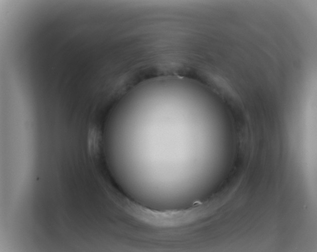 X0000111670038200907241221